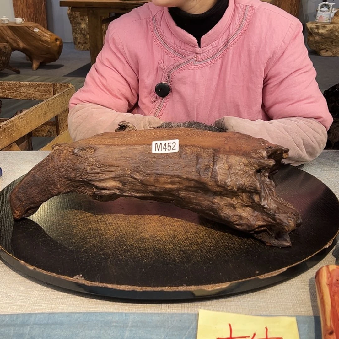 木哇***龙452fggggggggggggg