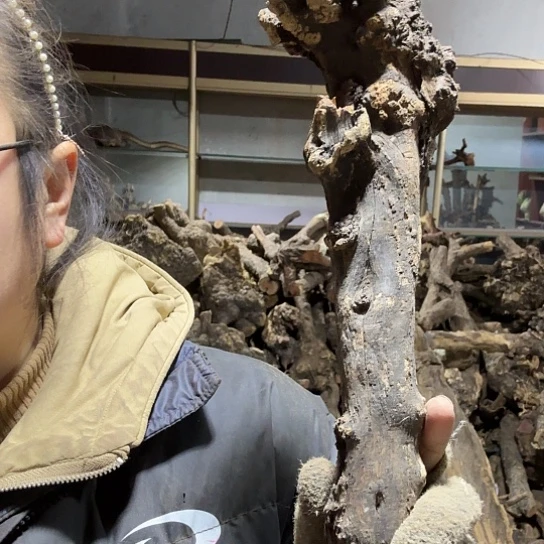 香榧木为**留火琉璃的毛料摆件