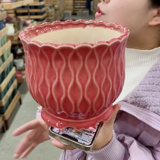 红陶花盆里还有几棵树上