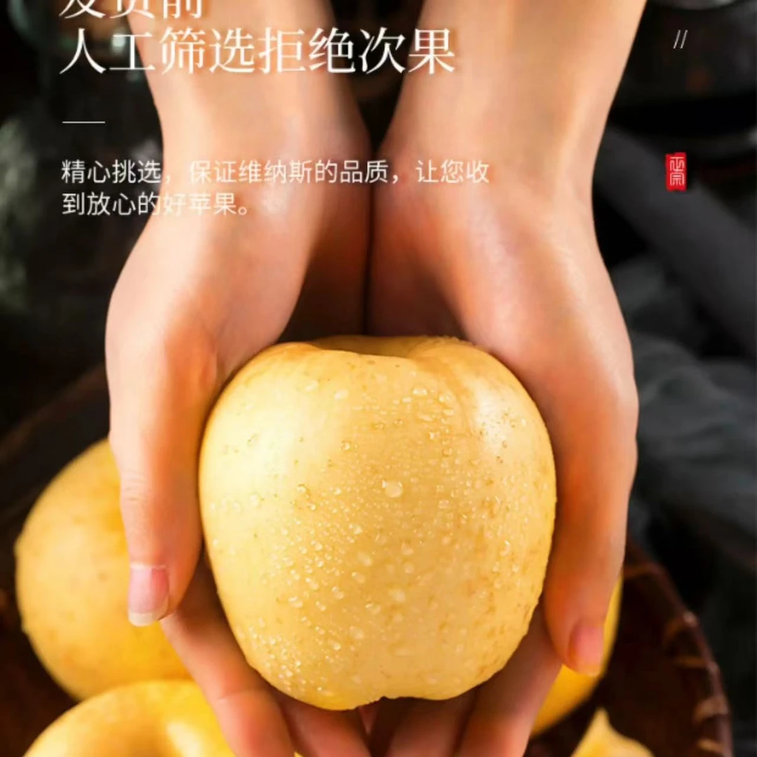 青岛维纳斯黄金苹果应季脆甜多汁现摘现发
