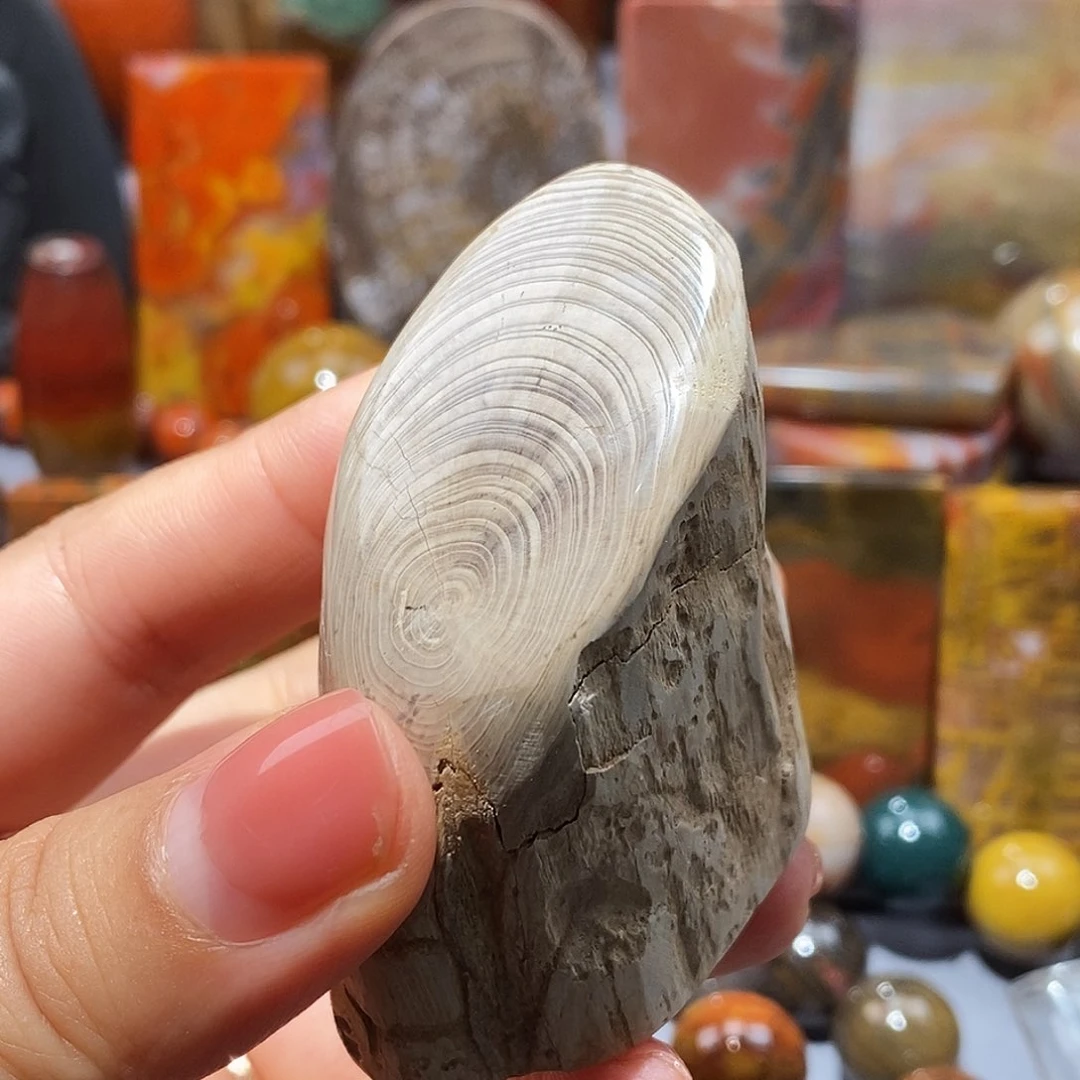 硅化玉天然北票硅化玉原石未镶嵌