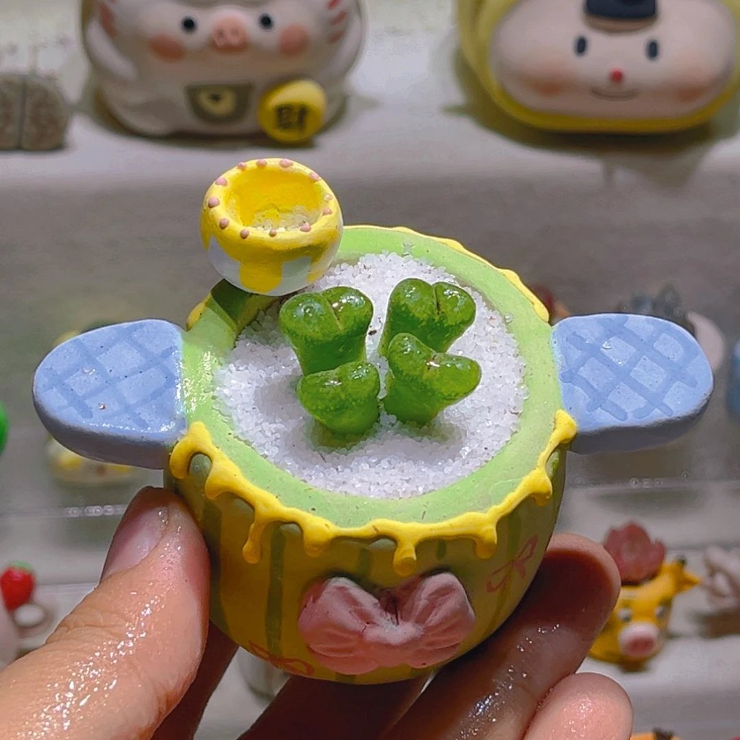 016高端多肉带盆土一套48