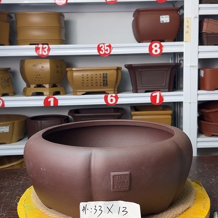 花盆紫砂你在一起