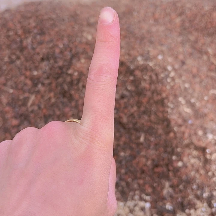 自家土1包土多肉植物