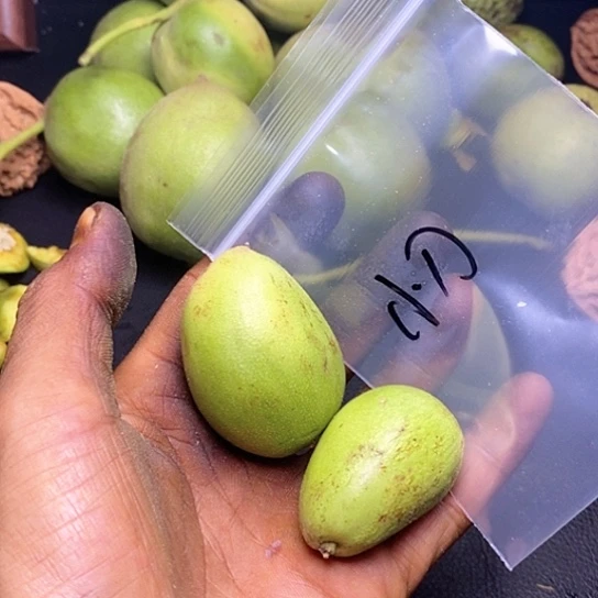 【闪购商品】吊坠文玩核桃小***股打包