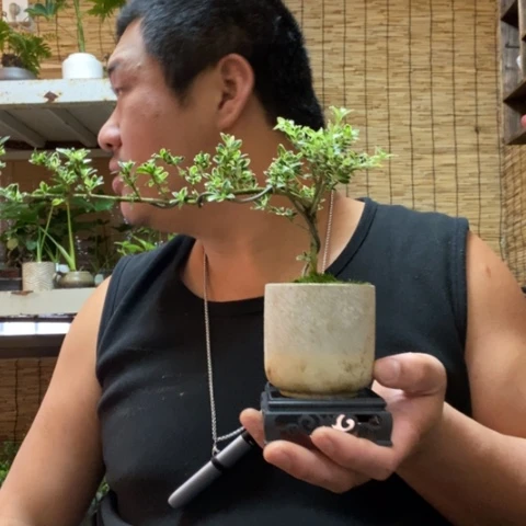 红陶一物一拍所见即所得160