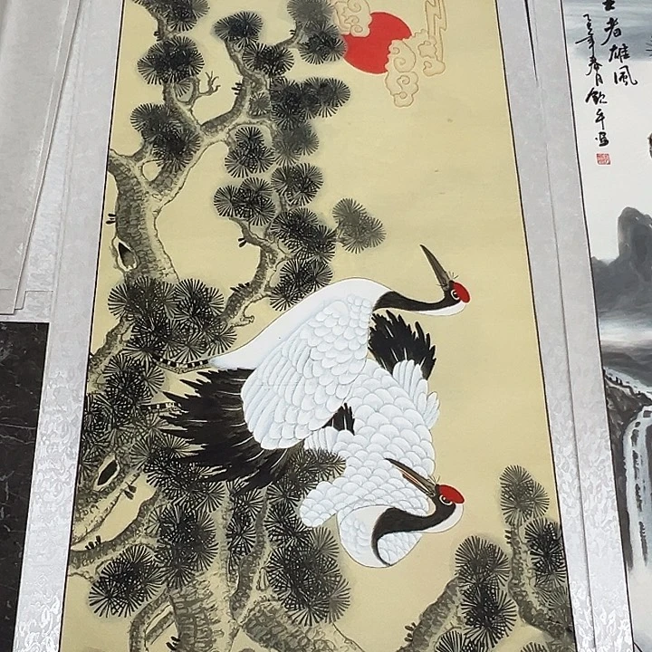 横款新号开播福利多多