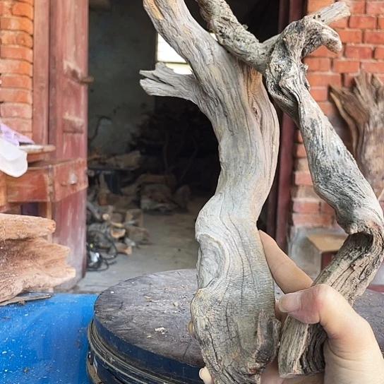 潮***哥香榧木崖柏崖柏崖柏崖柏
