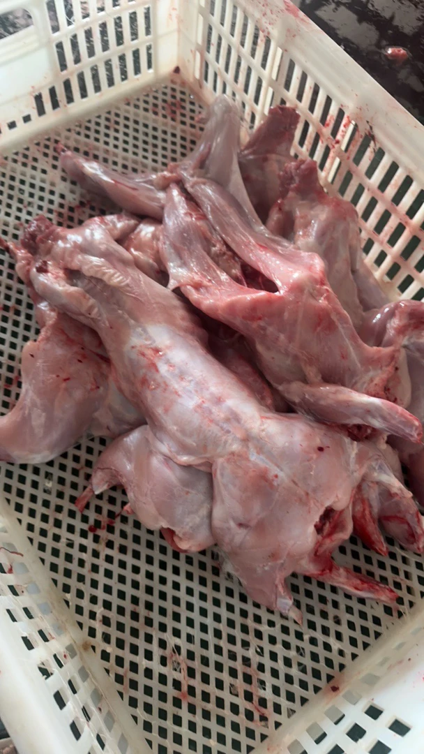 活兔现杀新鲜兔肉2.5-3斤左右一只整只顺丰包邮