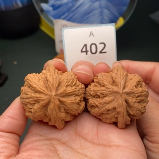 文玩核桃把件41大粗筋402