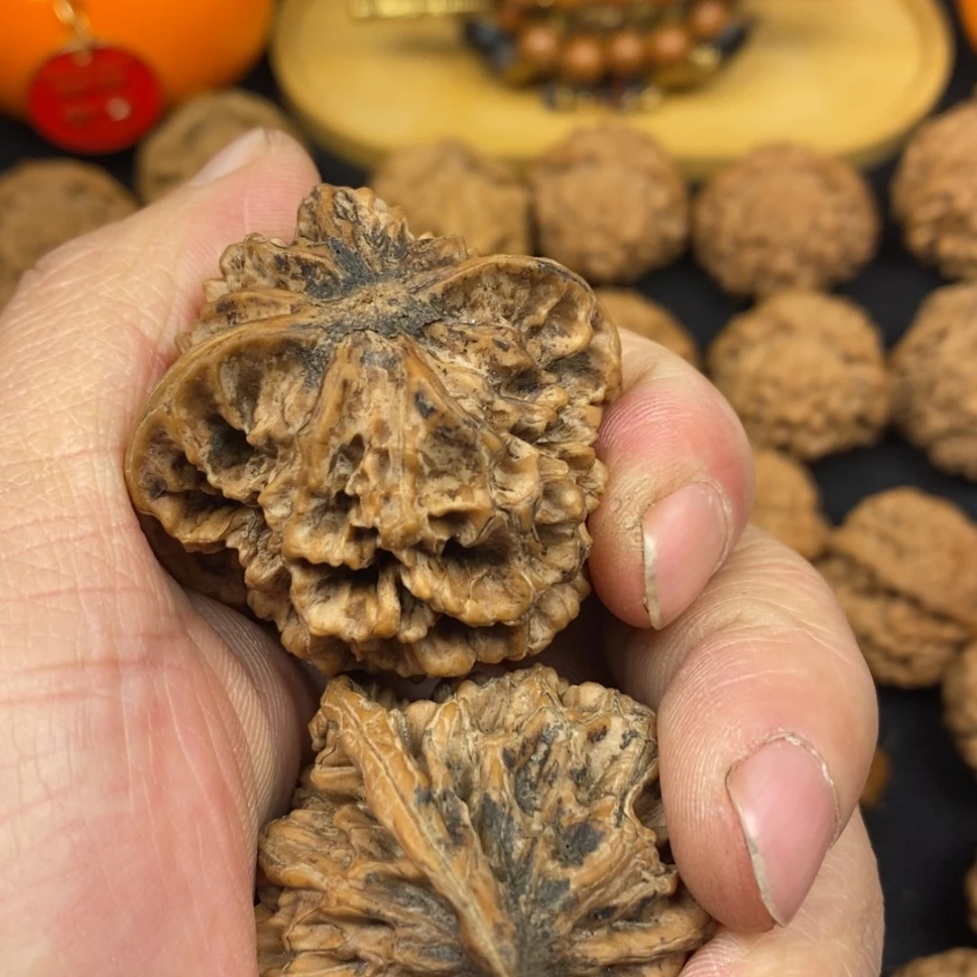 用****7秦岭南北区有两块