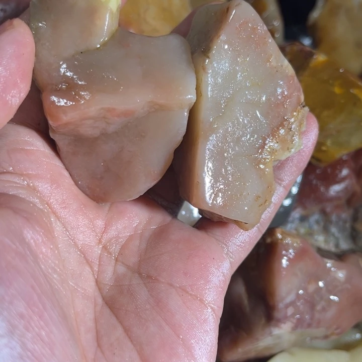 上***室寿山石88888888888888