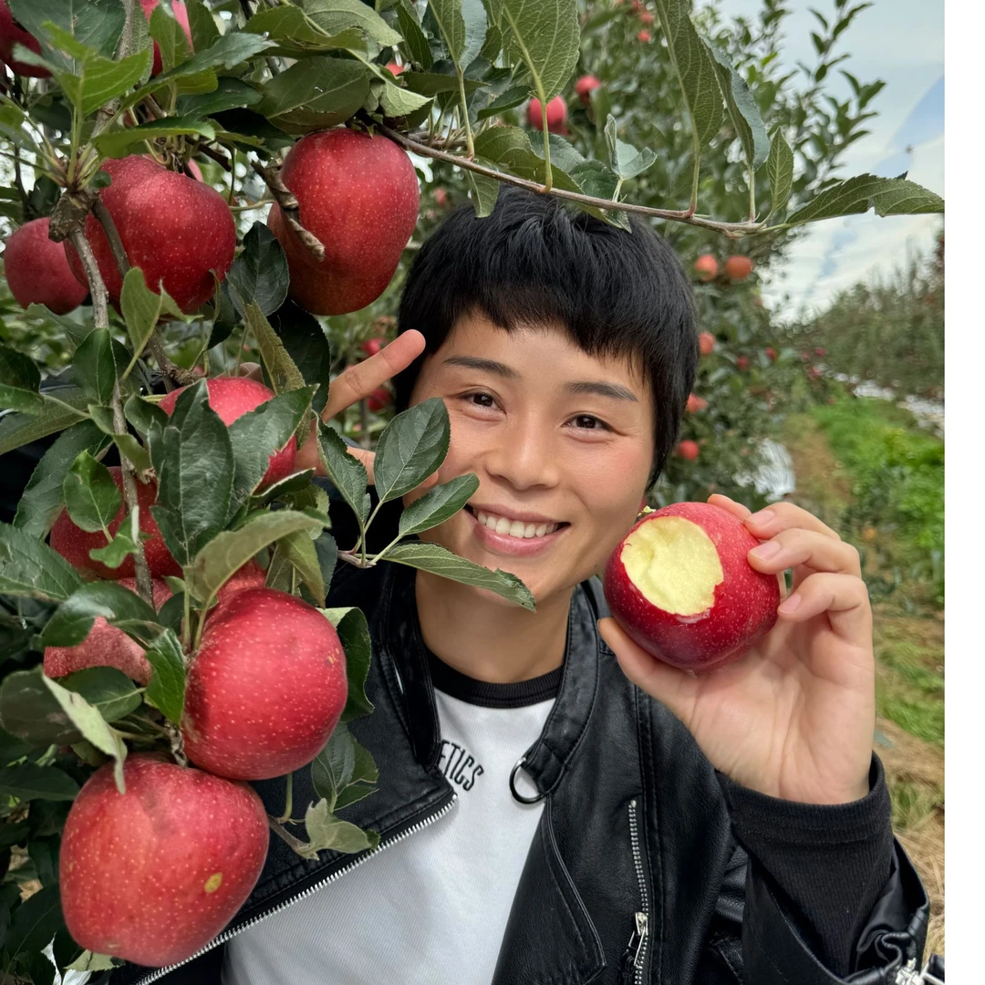 【坏果包赔 盐源丑苹果】现摘现发新鲜应季水果丑苹果带箱5斤