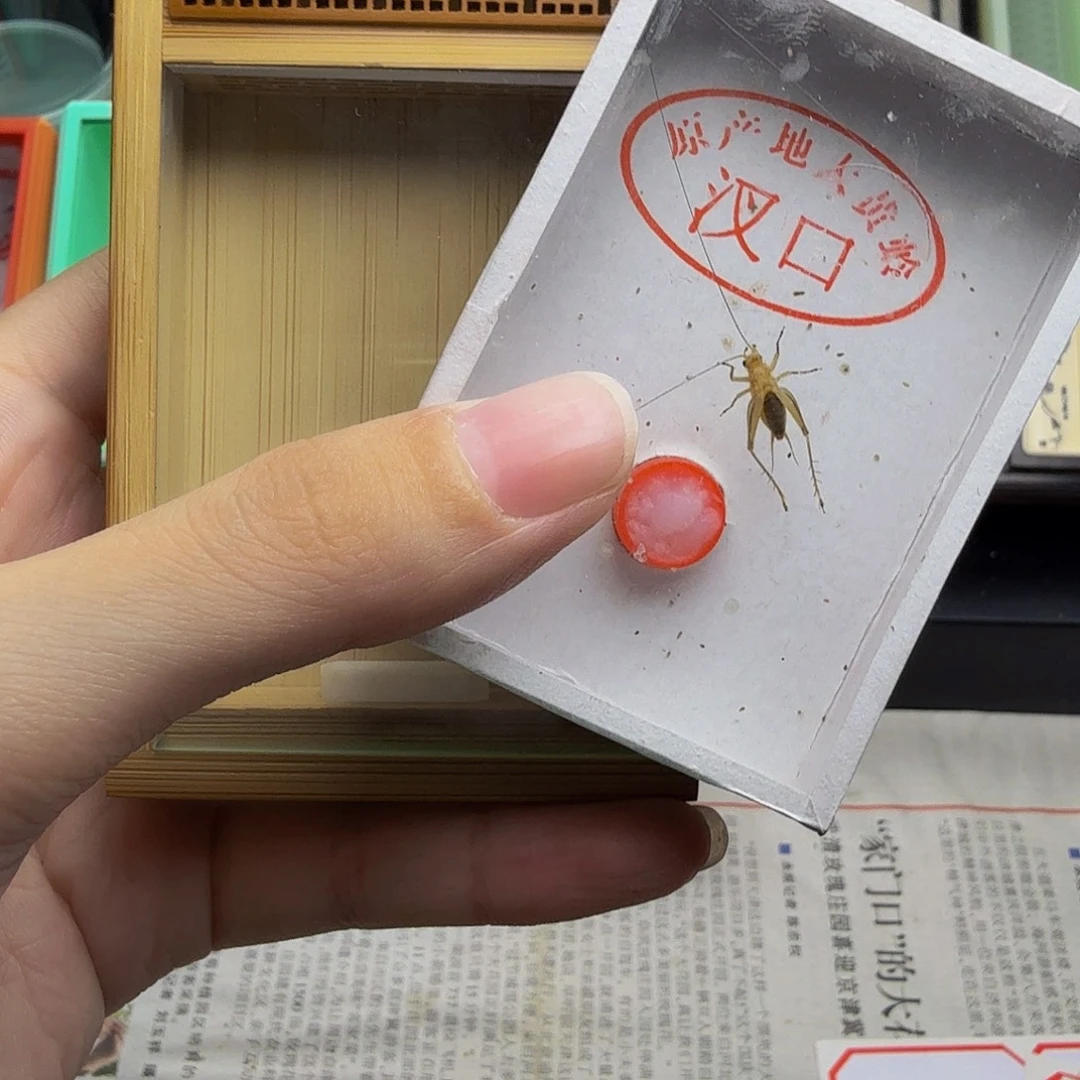 哈哈哈哈哈哈哈哈哈哈哈