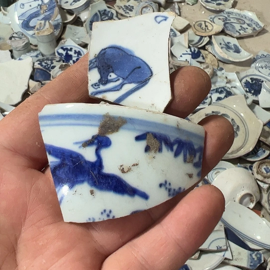 瓷片瓷片标本，全场包邮