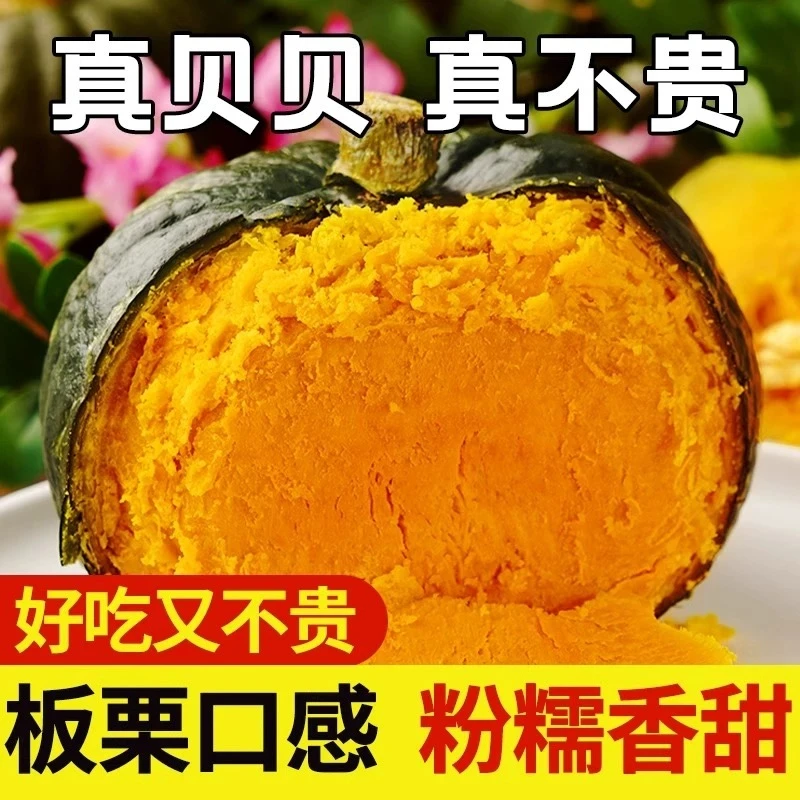 正宗贝贝南瓜新鲜板栗味小南瓜婴儿宝宝辅食粉糯香甜整箱包邮