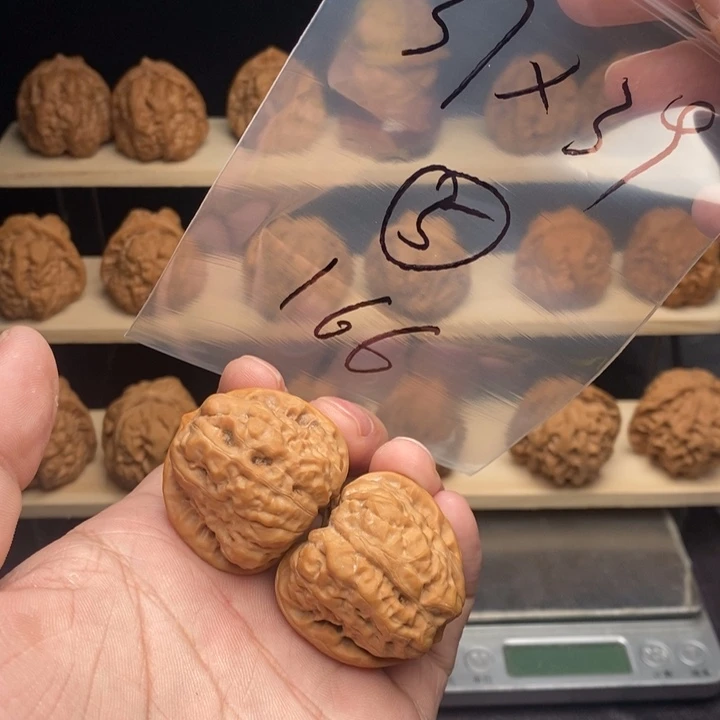 核桃蛤蟆头37尺小石蛙