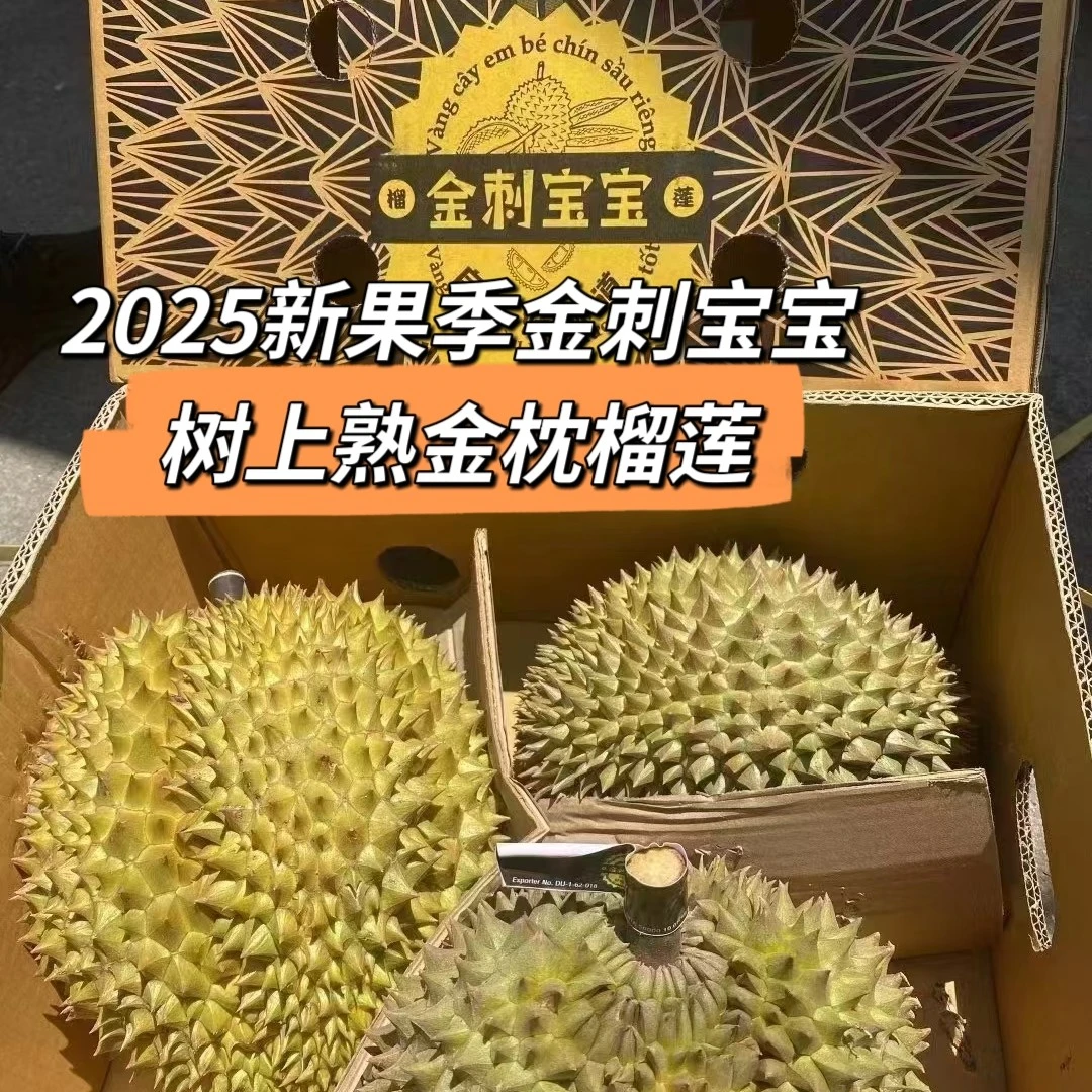 金刺宝宝榴莲泰国金枕榴莲树熟鲜果整颗带壳A果新鲜水果顺丰包邮