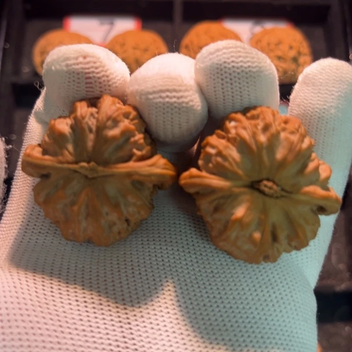 大***9桃核吊坠05秦皇岛山地果全品