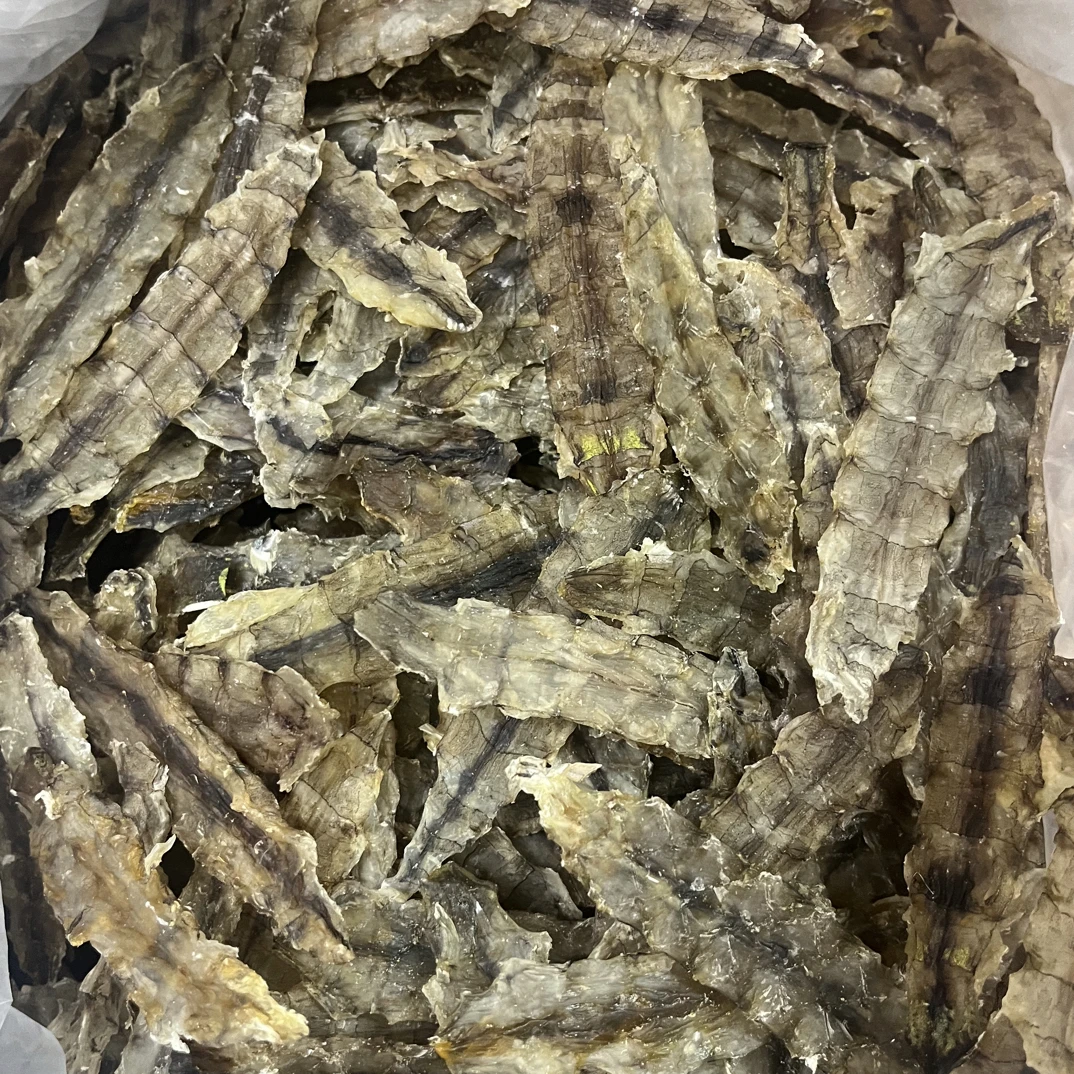 广东汕尾港本港浅海虾姑脯濑尿虾虾姑心