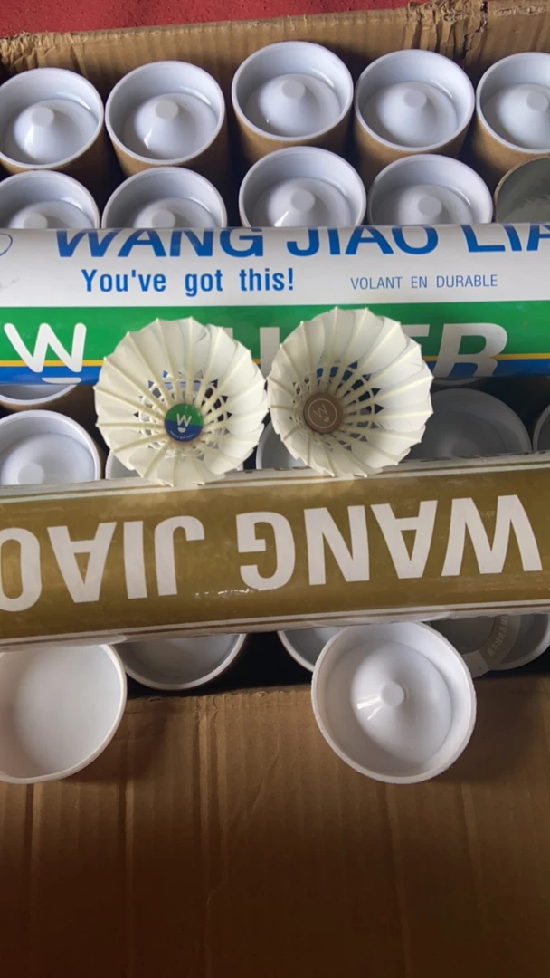 王教练【雷霆】鹚股鸭拉直全圆飞行稳定不耐打