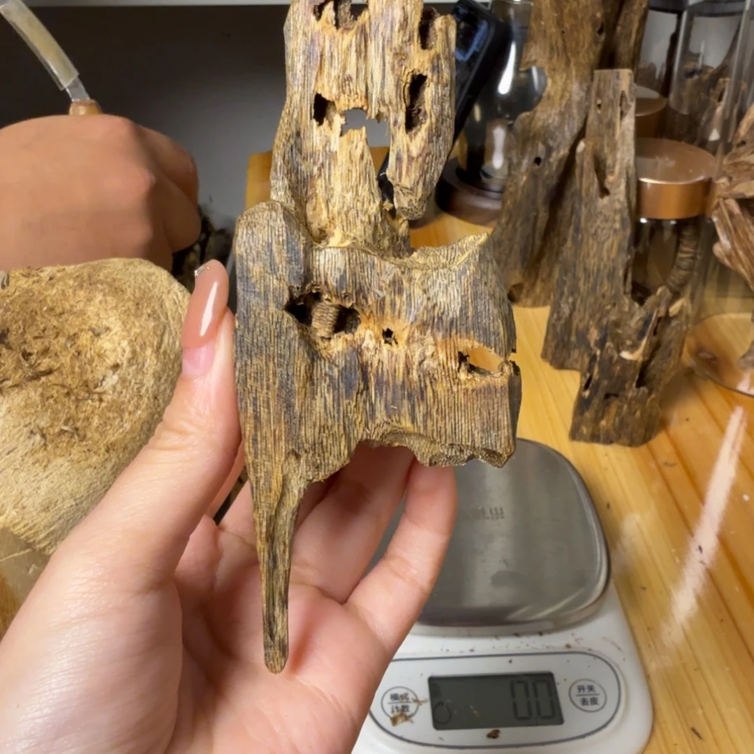 沉香陆河虫漏香19克