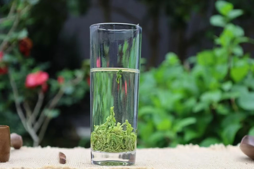 【三老表助农】分水高山云雾明前毛峰