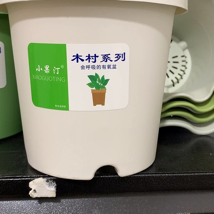 小果汀15口白10个无托