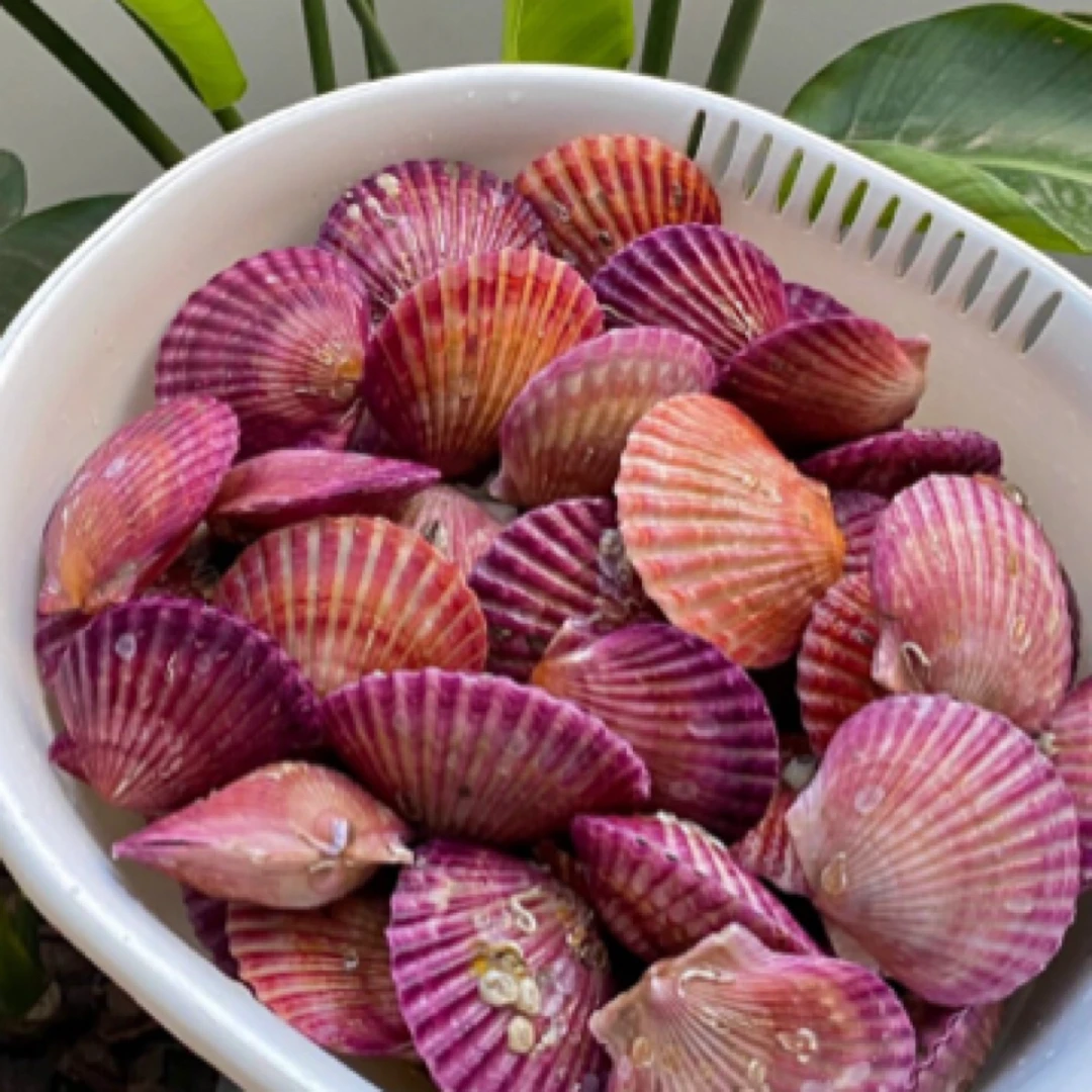 【运城一小时送达】小红贝·梦中情贝小红贝·口感鲜甜1斤装