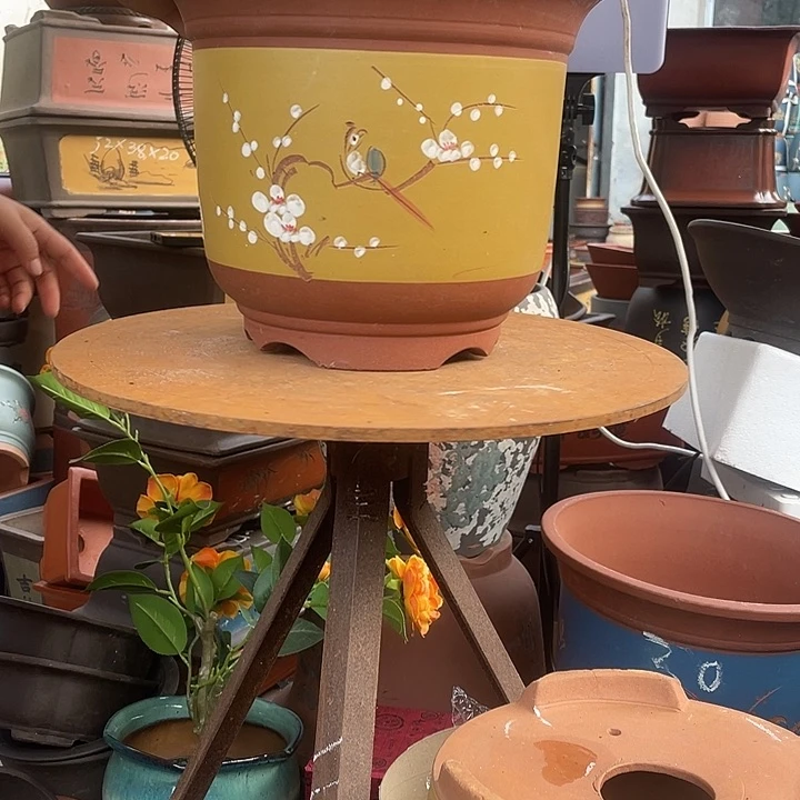 30黄色点菜金钟花盆紫砂花盆