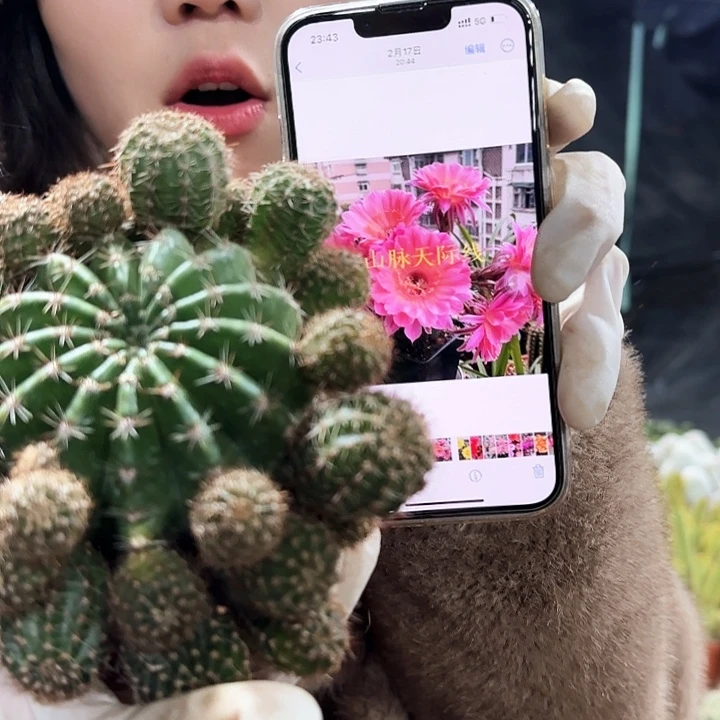 山脉天际线111111111