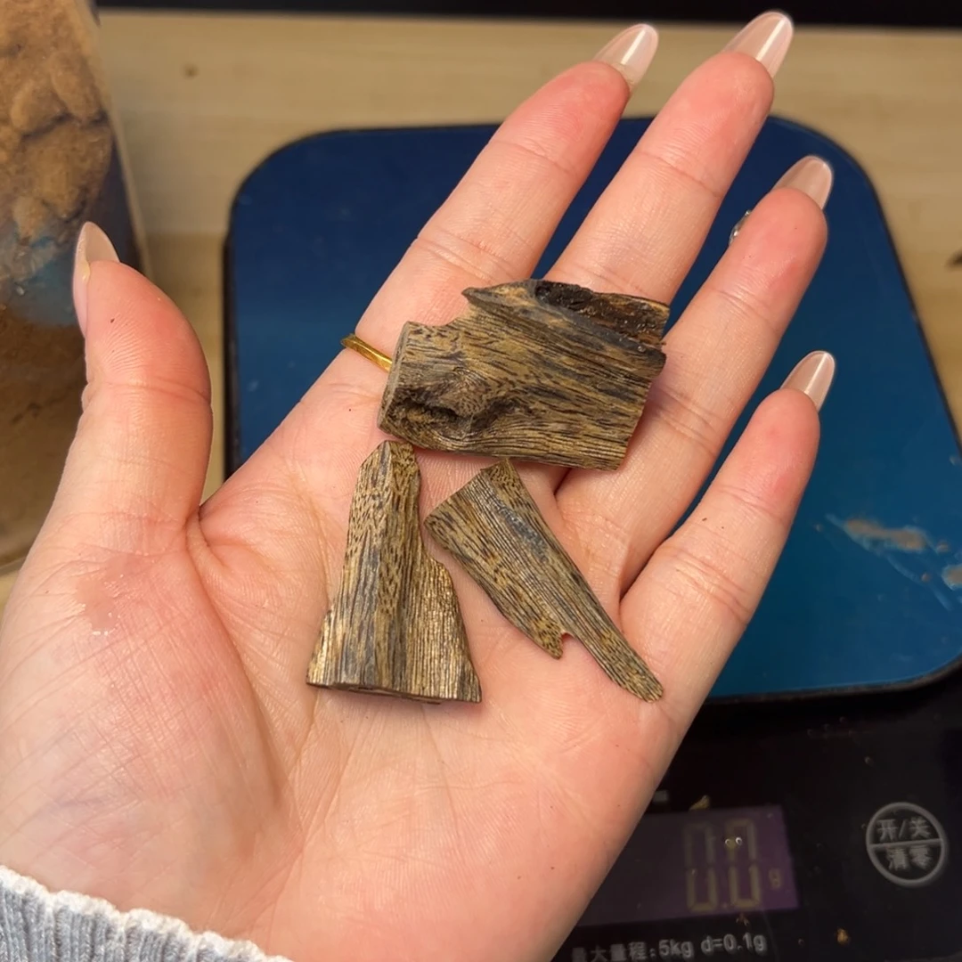 树脂制品秋**语海南白鹭原母树天然野沉水虫漏树心吊坠10克