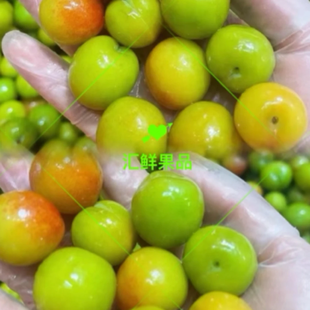 【秘制】腌李子  1盒400g