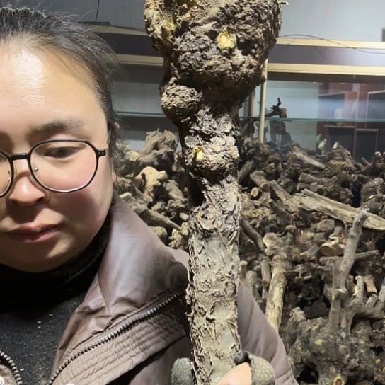 香榧木米*鼠火琉璃的毛料摆件