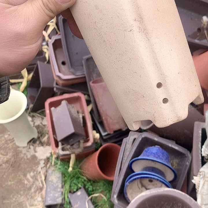 紫砂哈哈真的是太给力太火爆了不是吗综艺