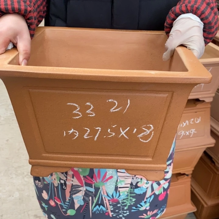 紫砂花盆只顾看剧啊不