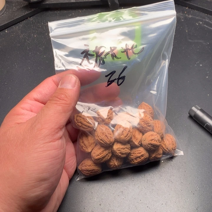 文玩核桃吊坠褚*壮野生精品小核桃散籽