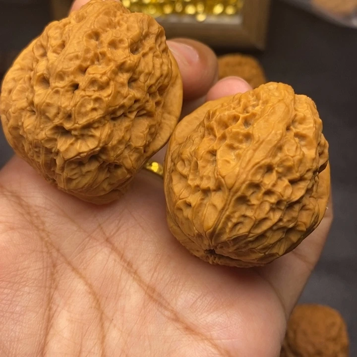 文玩核桃把件42尺金蟾王