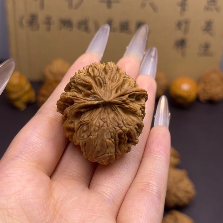 蜗***桃菩提籽类蛇单只异型有瑕