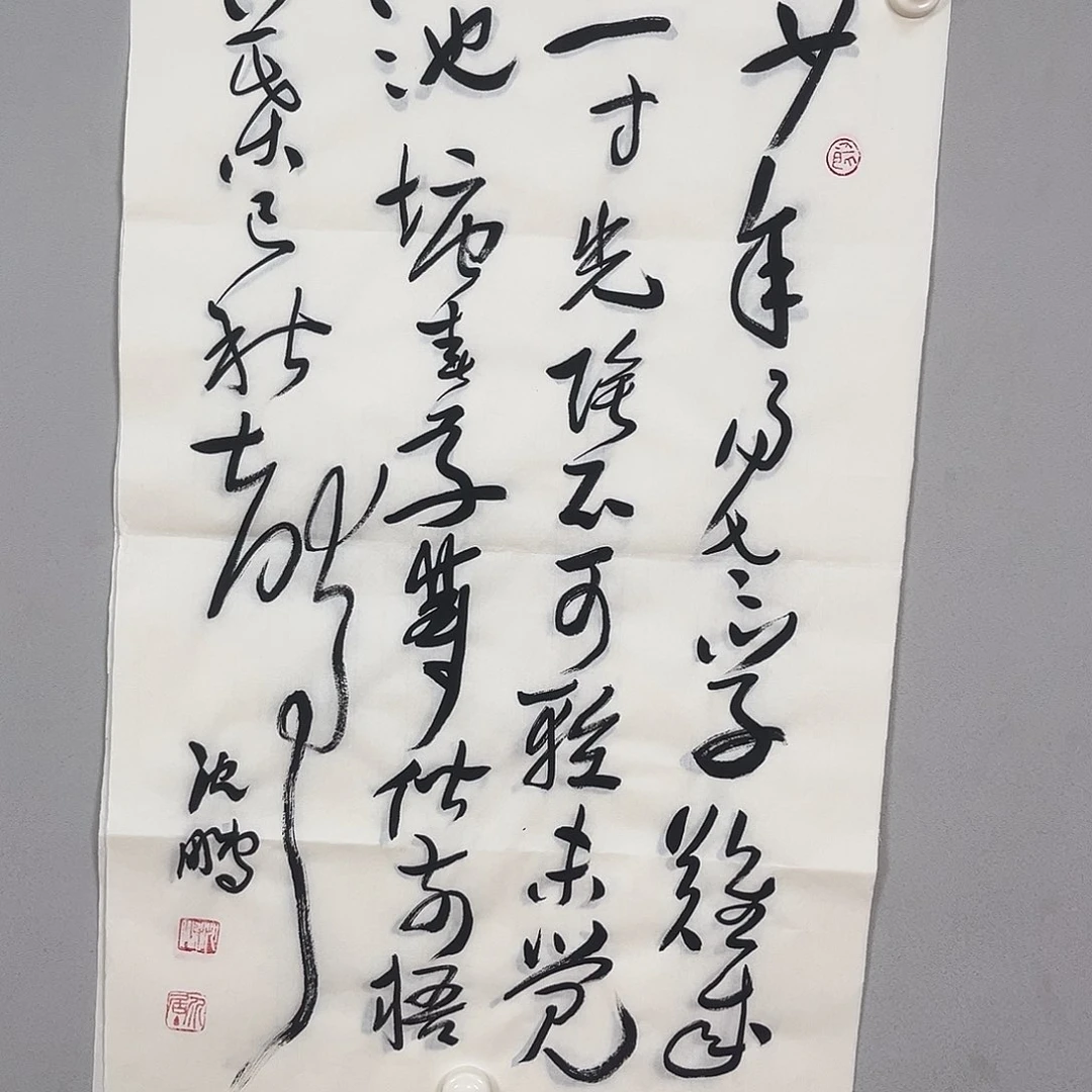 书法沈老师和书法做品