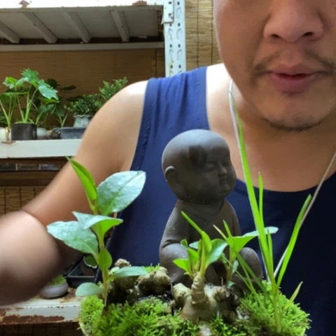 红陶一物一拍所见即所得277