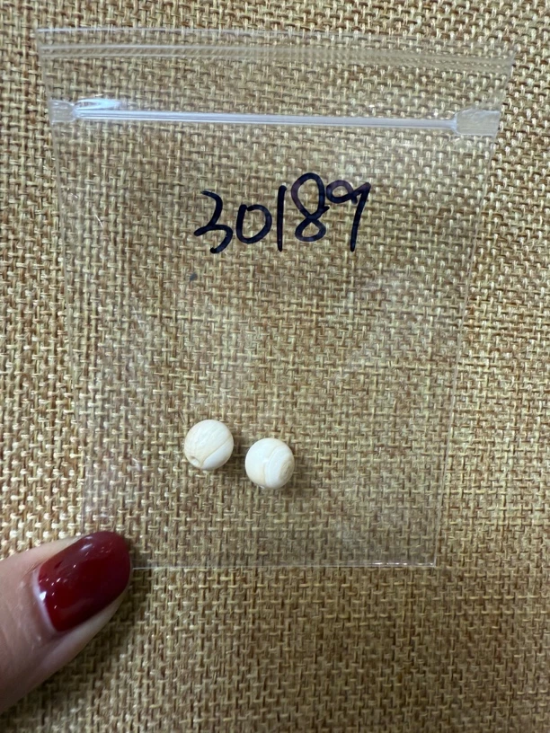 30189亚齐猛犸圆珠对珠配饰