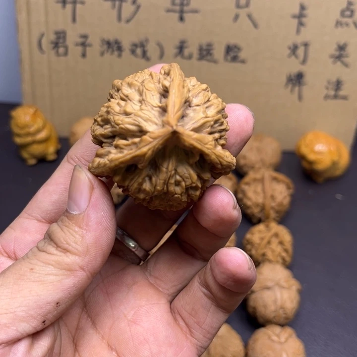 发***哥菩提籽类官帽三棱差一点点