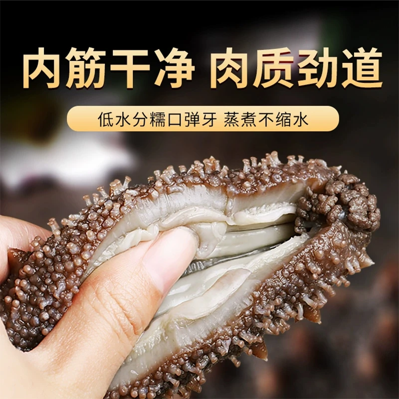 大连即食海参500g18-20头非干货海鲜顺丰配送