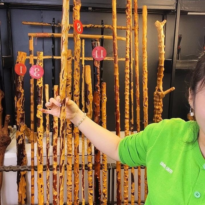 用****5检测看好好好好