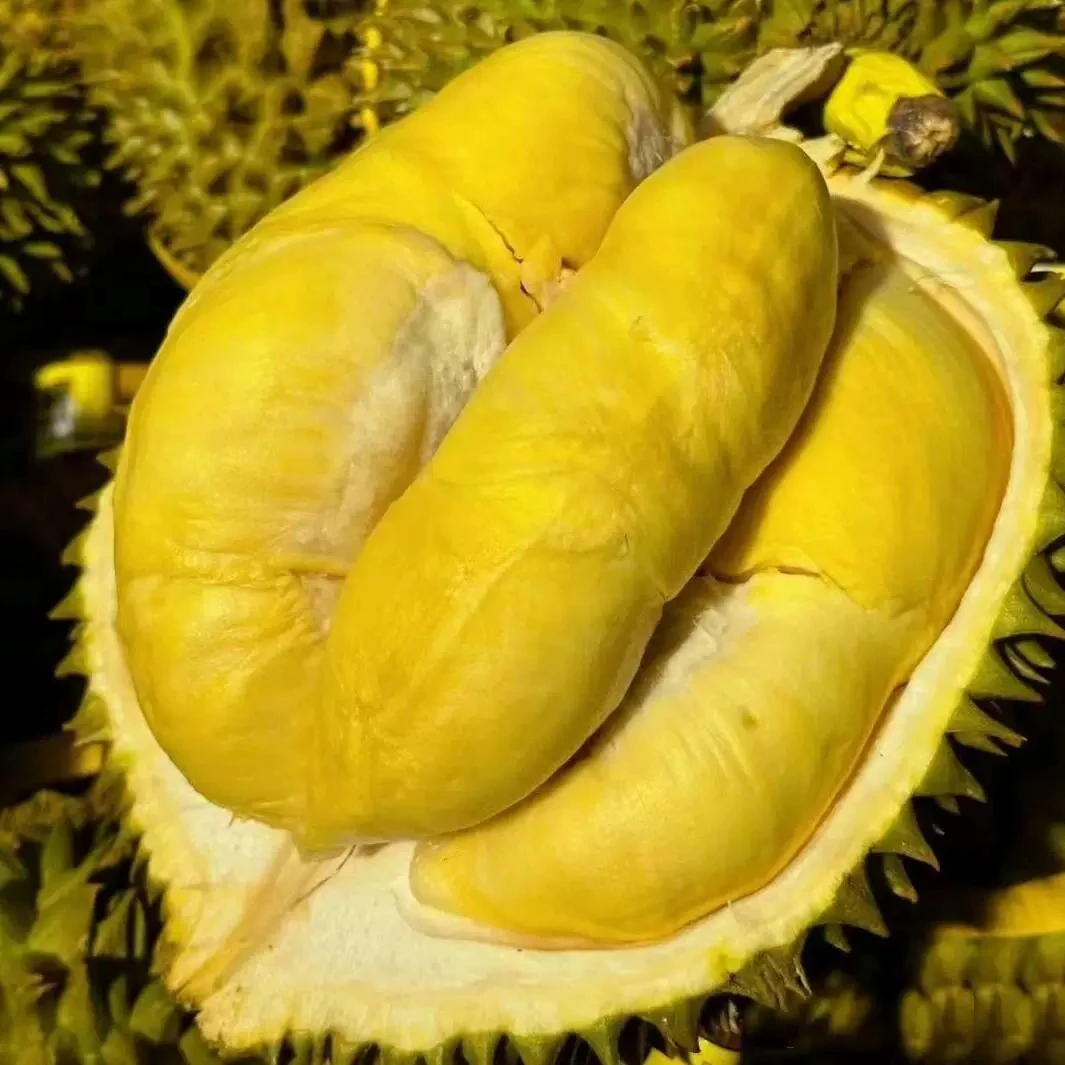 【哈尔滨小时达】纯树熟金枕新鲜榴莲鲜果现开核小金枕泰国3~6斤金枕泰国