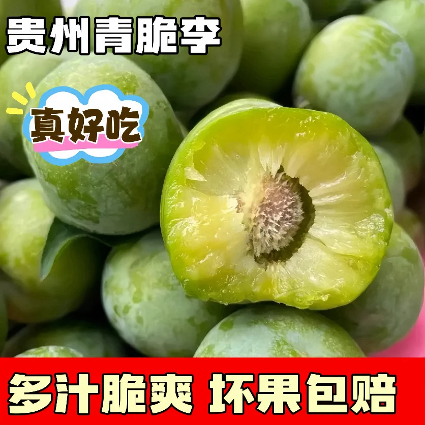 【坏果包赔】正宗贵州冰脆李四月脱骨李青脆李新鲜现摘现发包邮