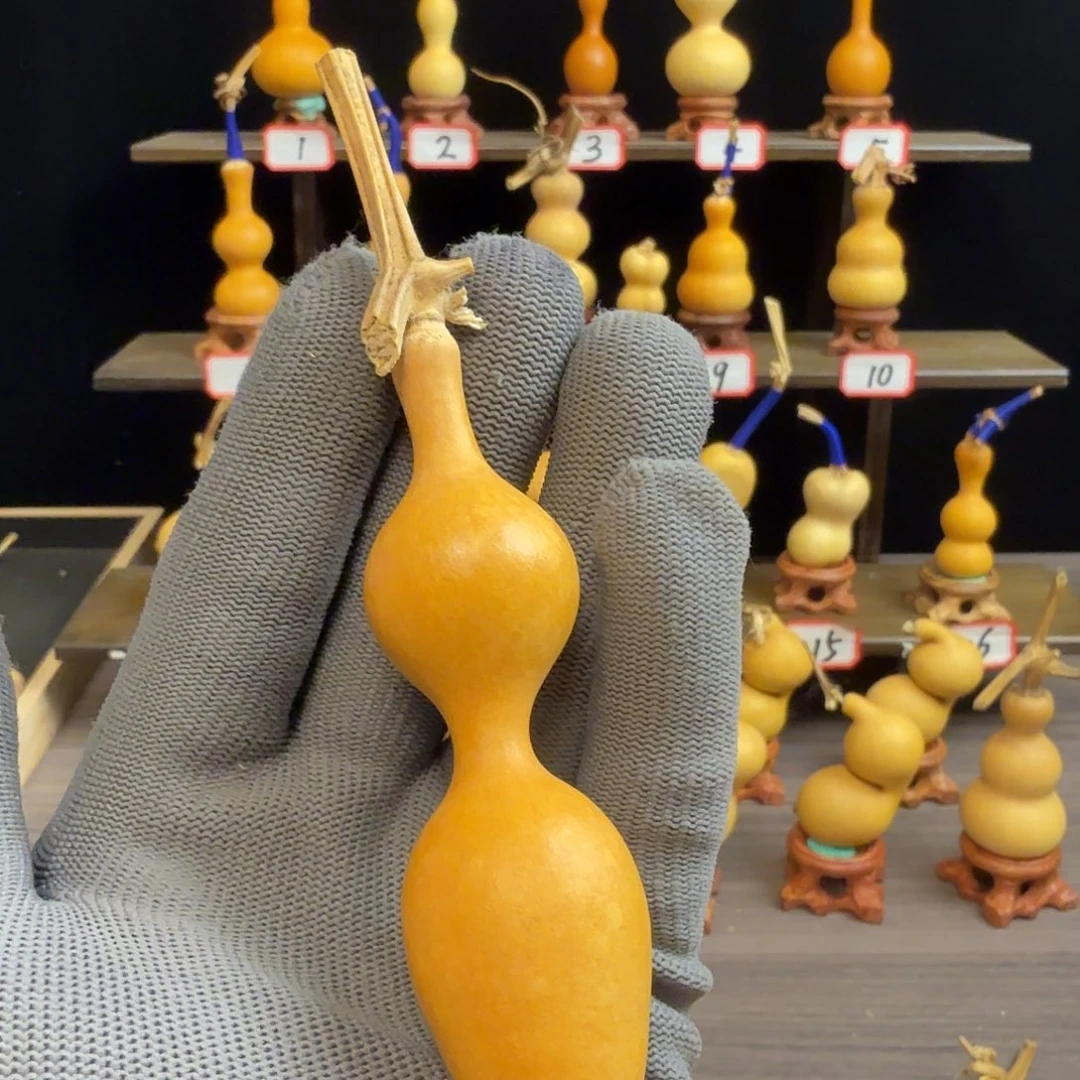 S***Y有机玻璃这个时候应该可以