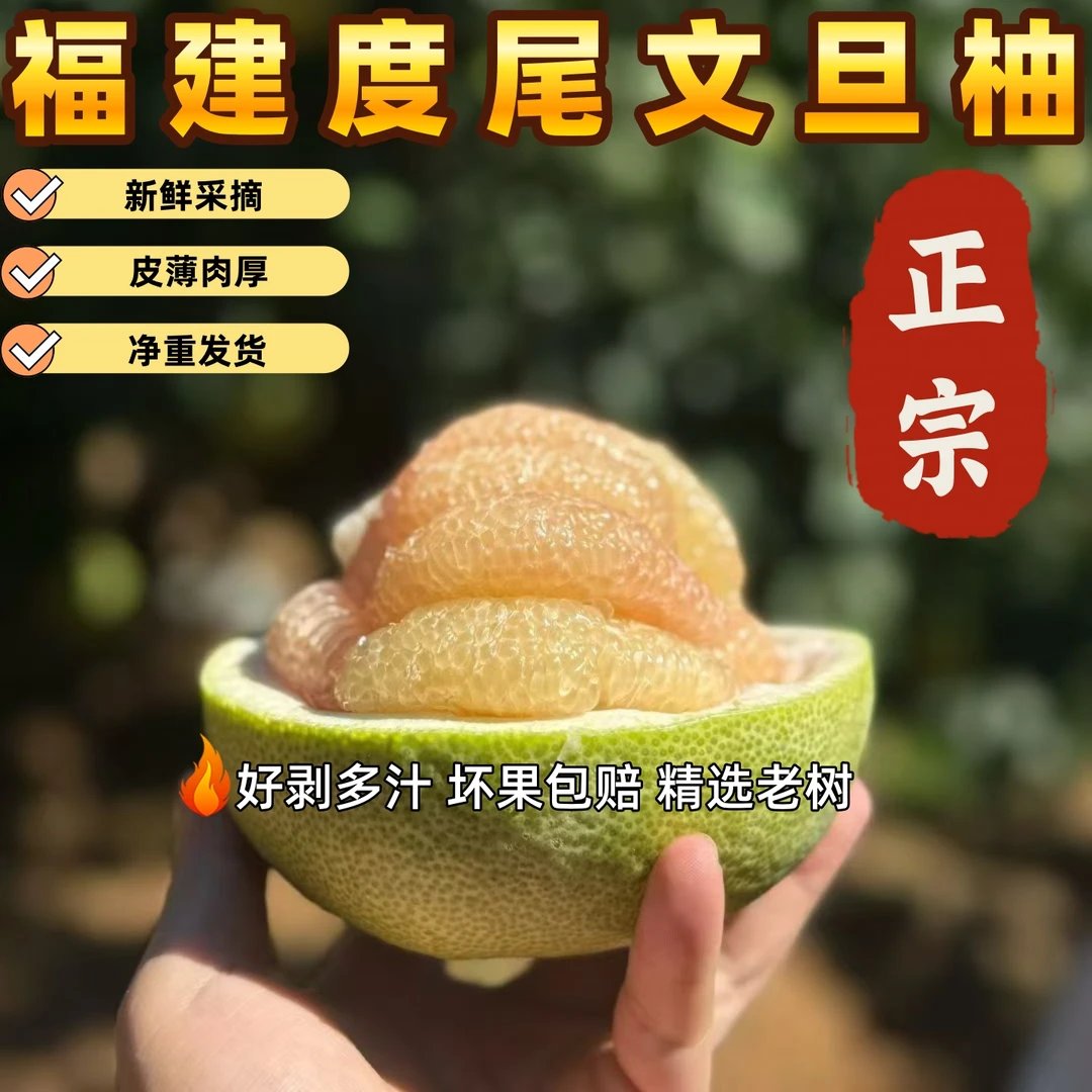 福建仙游度尾文旦柚正宗孕妇当季新鲜水果老树柚子无孔10斤现摘发