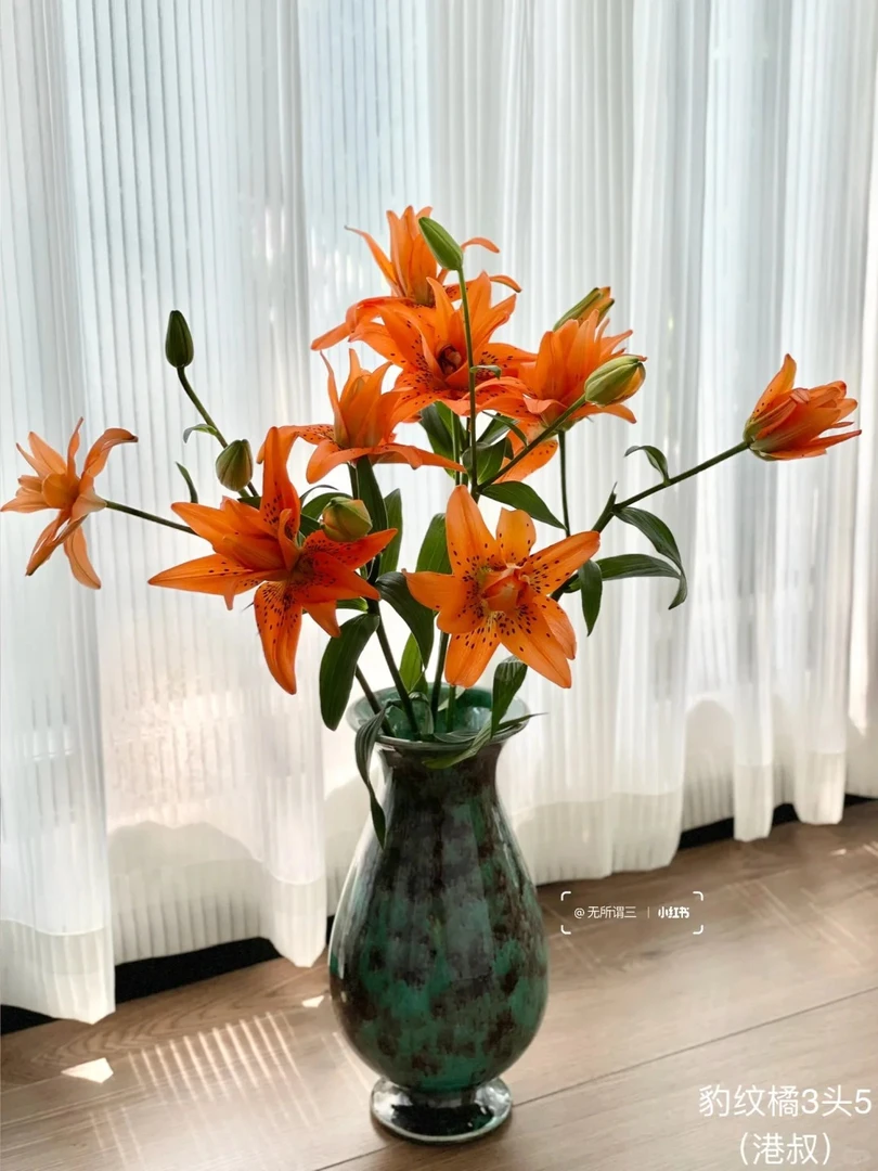 【花言罐舍】豹纹橘香水百合 一单包邮 云南鲜花昆明基地现采现发